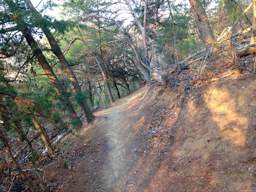 Stringer's Ridge Park