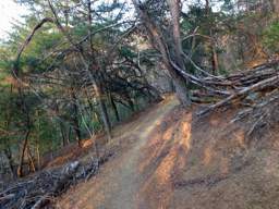 Stringer's Ridge Park