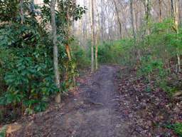 Stringer's Ridge Park