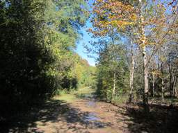 Greenway Farm