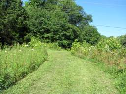 Greenway Farm