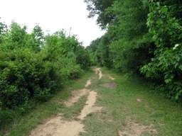 Greenway Farm