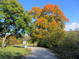 Greenway Farm