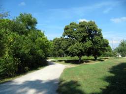Greenway Farm
