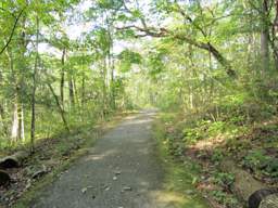Greenway Farm