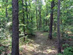 Cumberland Trail - Possum Creek Gorge