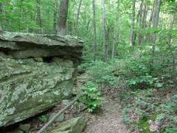 Cumberland Trail - Possum Creek Gorge