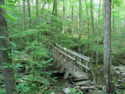 Cumberland Trail - Possum Creek Gorge