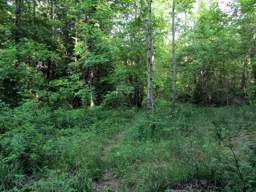 Cumberland Trail - Possum Creek Gorge
