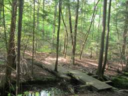 Cumberland Trail - Possum Creek Gorge