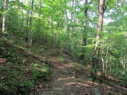 Cumberland Trail - Possum Creek Gorge