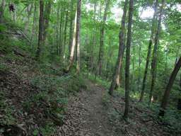 Cumberland Trail - Possum Creek Gorge