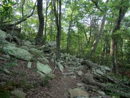 Cumberland Trail - Possum Creek Gorge