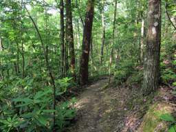 Cumberland Trail - Possum Creek Gorge