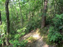 Cumberland Trail - Possum Creek Gorge