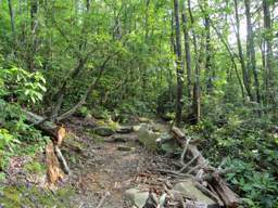 Cumberland Trail - Possum Creek Gorge