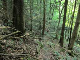 Cumberland Trail - Possum Creek Gorge