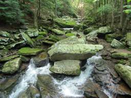 Cumberland Trail - Possum Creek Gorge