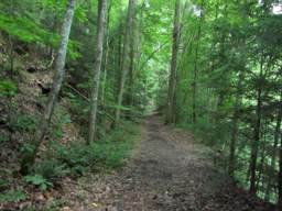 Cumberland Trail - Possum Creek Gorge