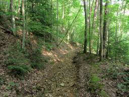 Cumberland Trail - Possum Creek Gorge