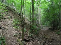Cumberland Trail - Possum Creek Gorge