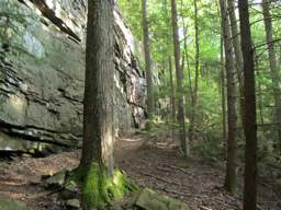 Cumberland Trail - Possum Creek Gorge