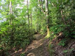 Cumberland Trail - Possum Creek Gorge